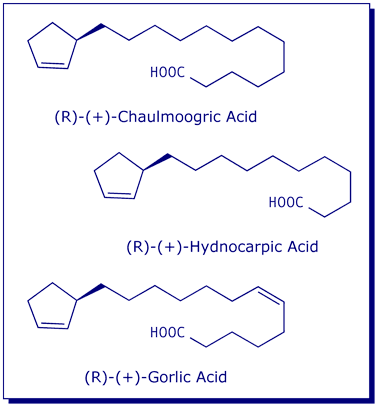 [ChaulmoogricHydnocarpicGorlicAcids]